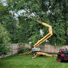 Best Weed Control  in Salida, CA
